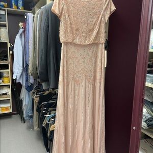 Adrianna Papell blush gown